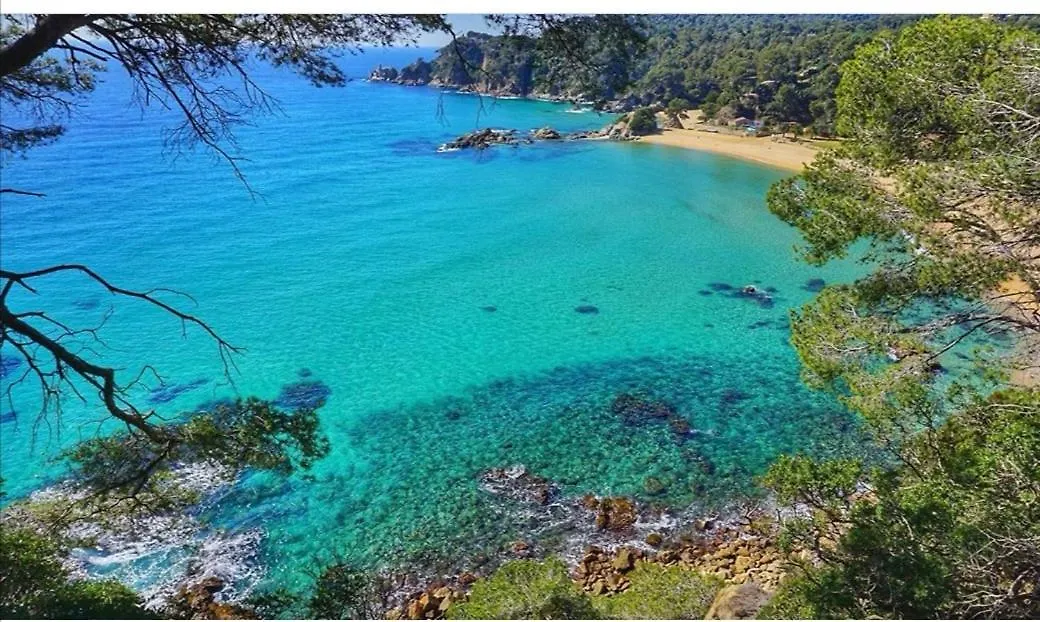 Apartment Seahomes Vacations, Beach&Pool, In Fenals Beach Lloret de Mar Spain